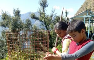 गोथल समिति ने पौधो की सुरक्षा के लिए लगाए ट्री गॉर्ड