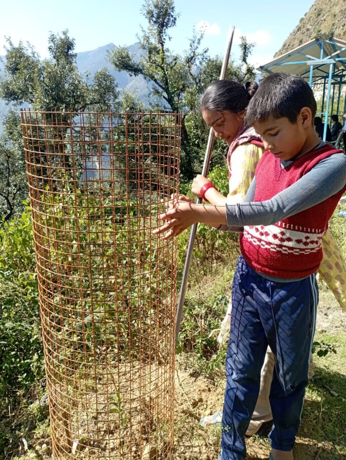 गोथल समिति ने पौधो की सुरक्षा के लिए लगाए ट्री गॉर्ड