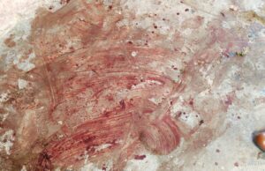 खून के धब्बो से फैली सनसनी, पुलिस मौके पर