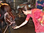 जीवन और जीविका की आधार हैं गौमाता-रेखा आर्या