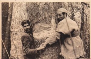 चिपको की 50 वीं वर्षगांठ को धूम धाम से मनाने का लिया निर्णय