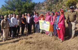 चिपको के बाद यही पुकार, जंगल नहीं जलने देंगे अबकी बार। “