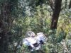 वाहन दुर्घटना ग्रस्त, बाल बाल बची जान