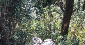 वाहन दुर्घटना ग्रस्त, बाल बाल बची जान