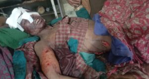 चारापत्ती लेने गयी महिला पर भालू ने किया हमला, स्थिति गम्भीर