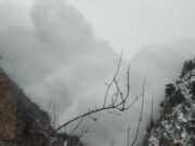 रेणी आपदा में लापता शवो को न खोजे जाने पर है कोर्ट ने केंद व राज्य सरकार को दिया नोटिस