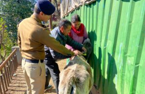 जनपद चमोली पुलिस द्वारा “ऑपरेशन कामधेनु” के तहत आमजन को किया जा रहा लगातार जागरुक