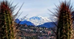 64 वर्ष का चमोली एक रिपोर्ट