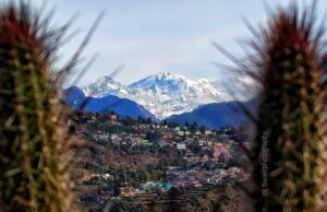 64 वर्ष का चमोली एक रिपोर्ट