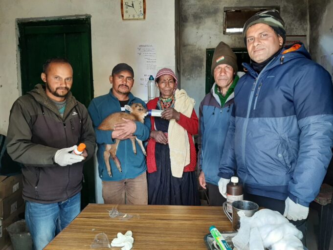 माँ की ममता, पेश की मानवता की मिशाल हिरन के बच्चे को दिया नया जीवन