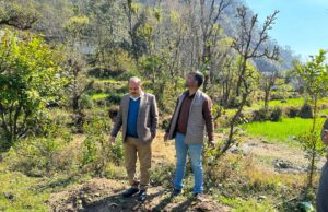 किवी उत्पादन से जनपद को मिलेगी नई पहचान