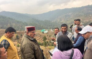 *कृषि मंत्री गणेश जोशी ने किया औषधीय एवं संगध पादप संस्थान, महलचोरी का स्थलीय निरीक्षण।