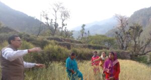 एडीएम ने गेहूं की फसल क्रॉप कटिंग प्रयोग का किया निरीक्षण