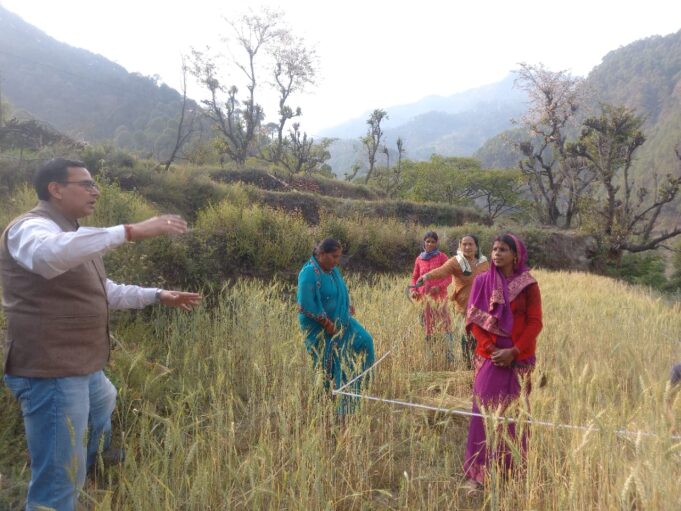 एडीएम ने गेहूं की फसल क्रॉप कटिंग प्रयोग का किया निरीक्षण