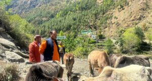 नंदा नगर में शुरू हुवा गौ सदन