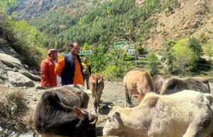 नंदा नगर में शुरू हुवा गौ सदन