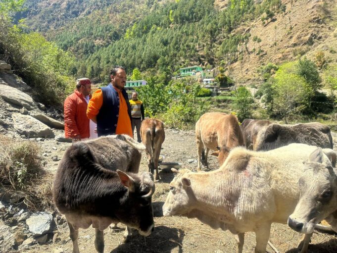 नंदा नगर में शुरू हुवा गौ सदन