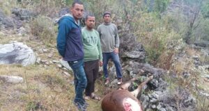 रांगतोली गांव में भालू की दशहत, चार मवेशियों को बनाया निवाला