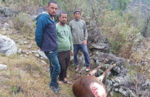 रांगतोली गांव में भालू की दशहत, चार मवेशियों को बनाया निवाला