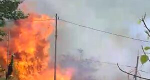 गांव में पहुची आग लोगो के फूल हाथ पांव, ग्रामीण ओर फायर सर्विस मौके पर