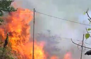 गांव में पहुची आग लोगो के फूल हाथ पांव, ग्रामीण ओर फायर सर्विस मौके पर