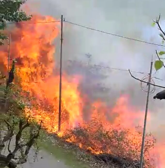 गांव में पहुची आग लोगो के फूल हाथ पांव, ग्रामीण ओर फायर सर्विस मौके पर