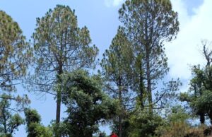 मानसून के दृस्टिगत प्रशासन ने किया मॉक अभ्यास