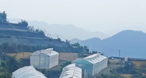 उद्यान विभाग द्वारा जनपद में लगाए जाएंगे 970 पॉलीहाउस