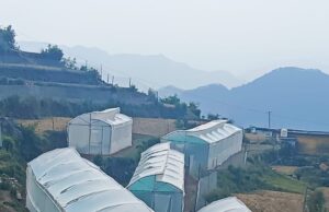 उद्यान विभाग द्वारा जनपद में लगाए जाएंगे 970 पॉलीहाउस