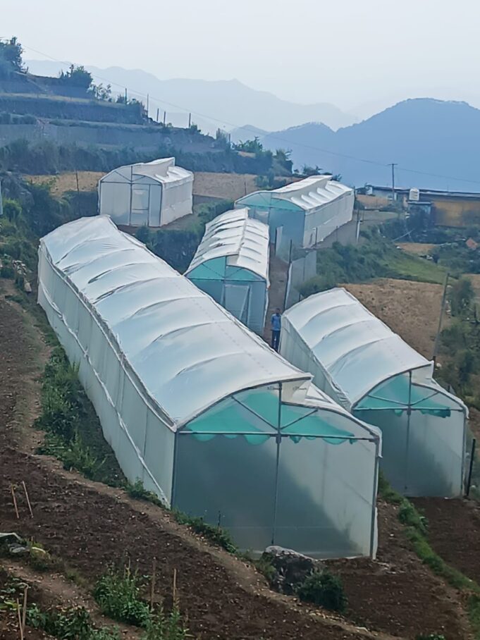 उद्यान विभाग द्वारा जनपद में लगाए जाएंगे 970 पॉलीहाउस