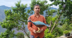 रिंगाल से बनाया राज्य पक्षी मोनाल!– रिंगाल मेन राजेन्द्र बडवाल का अभिनव प्रयोग.