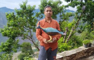 रिंगाल से बनाया राज्य पक्षी मोनाल!– रिंगाल मेन राजेन्द्र बडवाल का अभिनव प्रयोग.