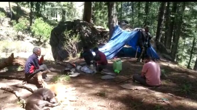 मौसम की बेरूखी से भेड-बकरी पालक परेशान, बुग्यालों में सरकार से लगा रहे मदद की गुहार