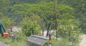 वाहन पर गिरा पथ्थर 2की मौके पर मौत 4घायल