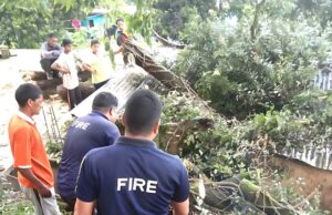 मकानों पर गिरा विशालकाय पेड़, फायर सर्विस ने पेड़ काट कर हटाये