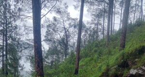 सड़क पर आया मलबा, दर्जनो गांवों का टूटा सम्पर्क