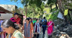 सुभाष नगर में खतरा बना पीपल का पेड़, सुरक्षा को देखते हुए विभाग ने काटा