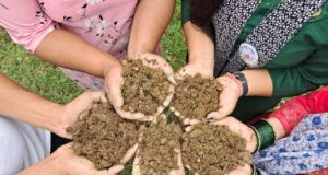 मेरा देश मेरी माटी अभियान के तहत कार्यक्रम आयोजित