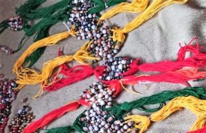 *चमोली रक्षाबंधन पर इस बार भोजपत्र से बनी राखी से सजेगी भाइयों की कलाईयां