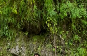 बस दुर्घटना में 6 की मौत 27घायल