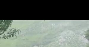 शिक्षक के तबादले पर रो पडे ग्रामीण और स्कूल के छात्र छात्राएं..