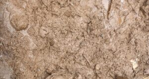 13 अगस्त की आपदा में लापता नेपाली मजदूर का मिला शव, 1 अभी भी लापता