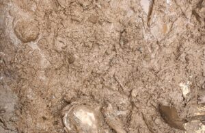 13 अगस्त की आपदा में लापता नेपाली मजदूर का मिला शव, 1 अभी भी लापता