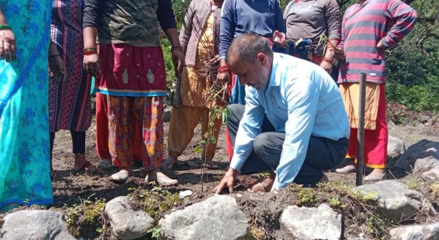 पूर्व प्रधानमंत्री राजीव गांधी की जयंती पर बद्रीनाथ में किया पौध रोपण