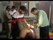 गौशाला जाते हुए ग्रामीण को भालू ने किया बुरी तरह ज़ख़्मी