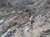 चिंताजनक!– आपदा से तबाह हुये किरूली के जंगल और जलस्रोत..