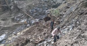 चिंताजनक!– आपदा से तबाह हुये किरूली के जंगल और जलस्रोत..