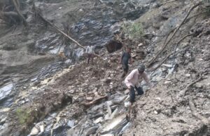 चिंताजनक!– आपदा से तबाह हुये किरूली के जंगल और जलस्रोत..