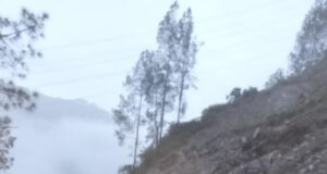 बदरीनाथ हाइवे: पहले खबर पढ़ें फिर घर से निकलें