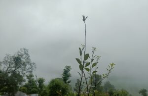 बारिस: दशोली ओर नन्दा नगर में सभी स्कूलों में छुट्टी के आदेश